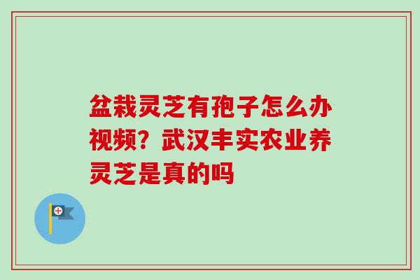 盆栽灵芝有孢子怎么办视频？武汉丰实农业养灵芝是真的吗