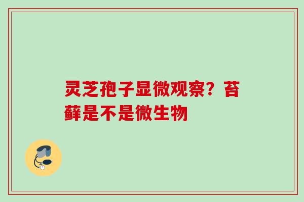 灵芝孢子显微观察？苔藓是不是微生物