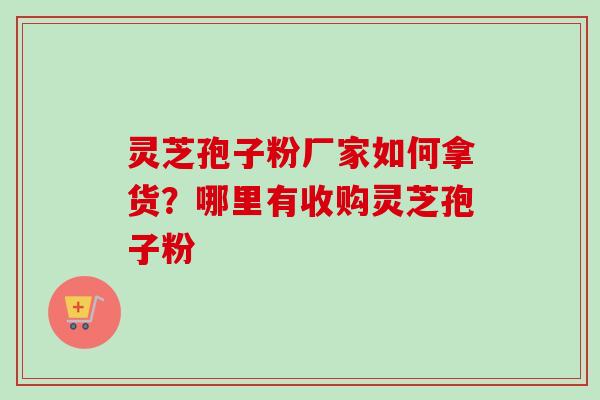 灵芝孢子粉厂家如何拿货？哪里有收购灵芝孢子粉