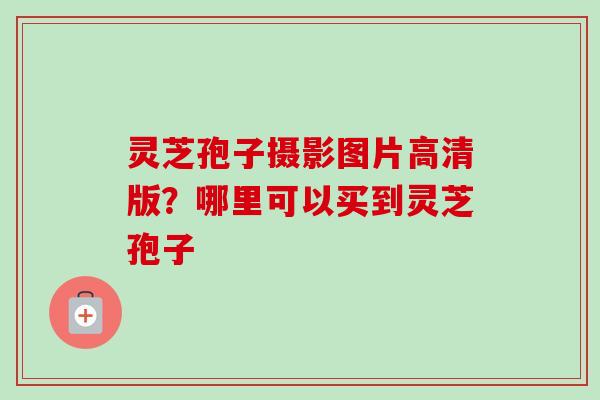 灵芝孢子摄影图片高清版？哪里可以买到灵芝孢子