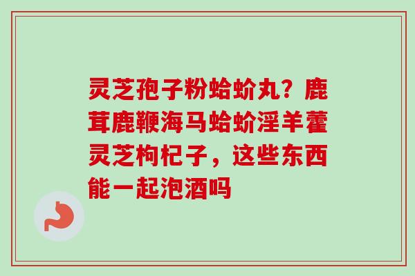 灵芝孢子粉蛤蚧丸？鹿茸鹿鞭海马蛤蚧淫羊藿灵芝枸杞子，这些东西能一起泡酒吗