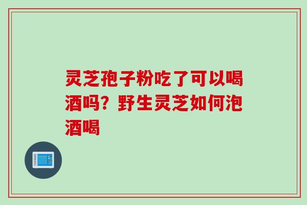 灵芝孢子粉吃了可以喝酒吗？野生灵芝如何泡酒喝