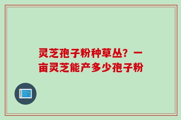 灵芝孢子粉种草丛？一亩灵芝能产多少孢子粉