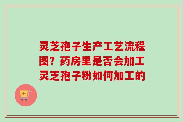 灵芝孢子生产工艺流程图？药房里是否会加工灵芝孢子粉如何加工的