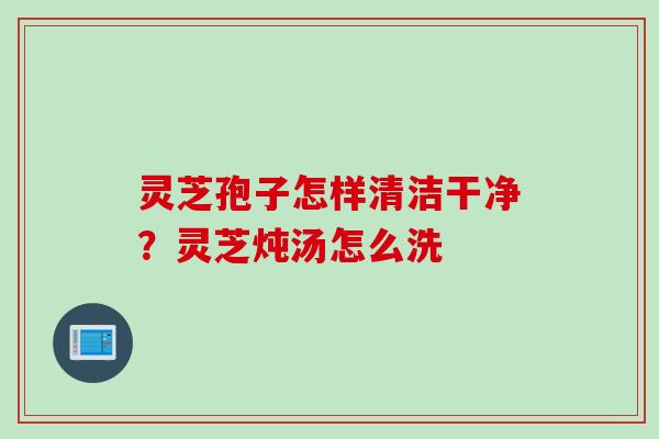 灵芝孢子怎样清洁干净？灵芝炖汤怎么洗