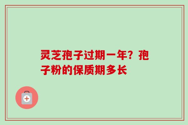 灵芝孢子过期一年？孢子粉的保质期多长