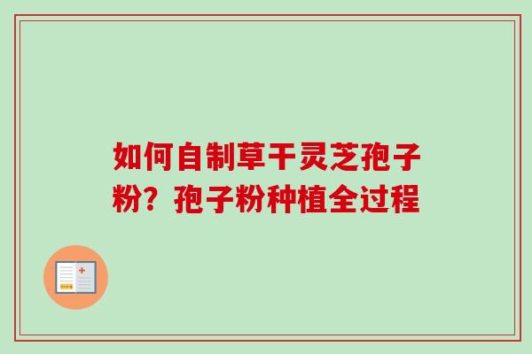 如何自制草干灵芝孢子粉？孢子粉种植全过程
