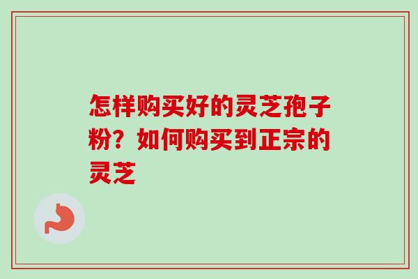 怎样购买好的灵芝孢子粉？如何购买到正宗的灵芝