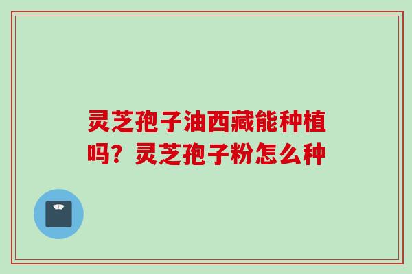 灵芝孢子油西藏能种植吗？灵芝孢子粉怎么种