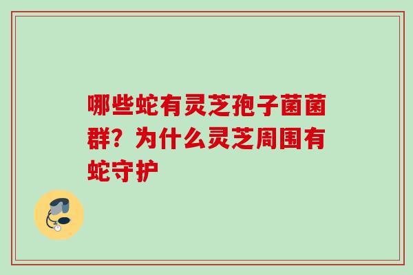 哪些蛇有灵芝孢子菌菌群？为什么灵芝周围有蛇守护