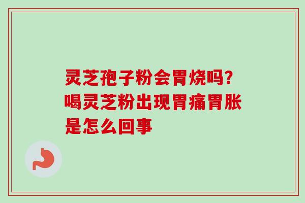 灵芝孢子粉会胃烧吗？喝灵芝粉出现胃痛胃胀是怎么回事