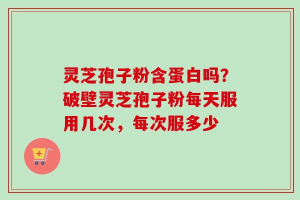 灵芝孢子粉含蛋白吗？破壁灵芝孢子粉每天服用几次，每次服多少