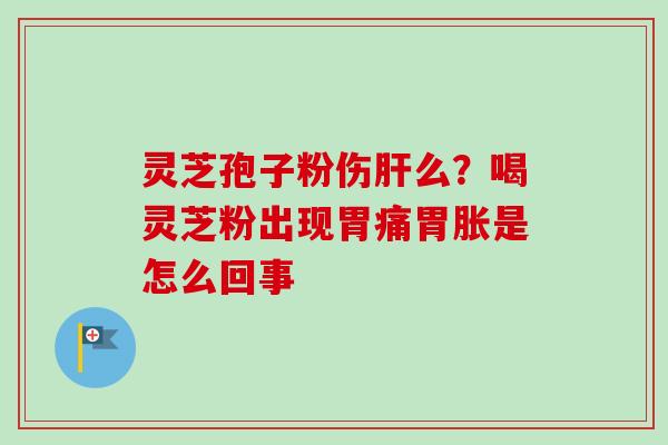灵芝孢子粉伤么?喝灵芝粉出现胃痛胃胀是怎么回事 灵芝孢子粉伤么?喝灵芝粉出现胃痛胃胀是怎么回事