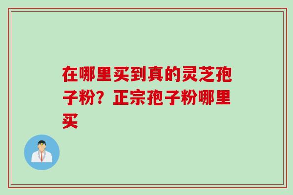 在哪里买到真的灵芝孢子粉？正宗孢子粉哪里买