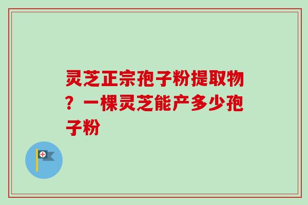 灵芝正宗孢子粉提取物？一棵灵芝能产多少孢子粉