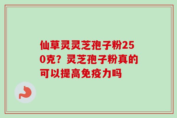 仙草灵灵芝孢子粉250克？灵芝孢子粉真的可以提高免疫力吗