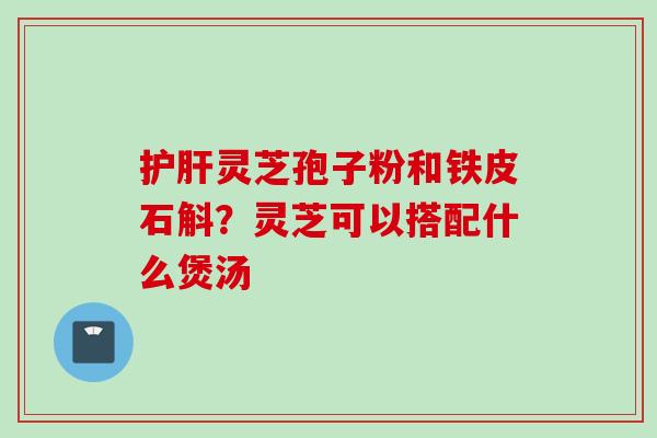 护肝灵芝孢子粉和铁皮石斛？灵芝可以搭配什么煲汤