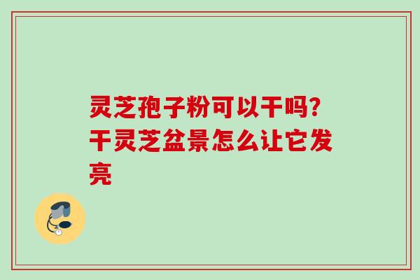 灵芝孢子粉可以干吗？干灵芝盆景怎么让它发亮