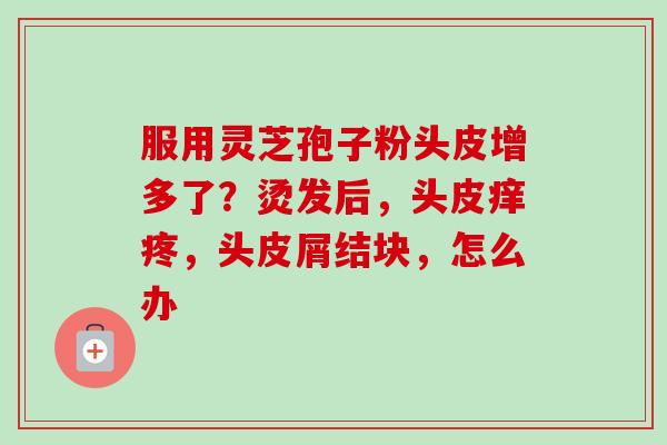 服用灵芝孢子粉头皮增多了？烫发后，头皮痒疼，头皮屑结块，怎么办