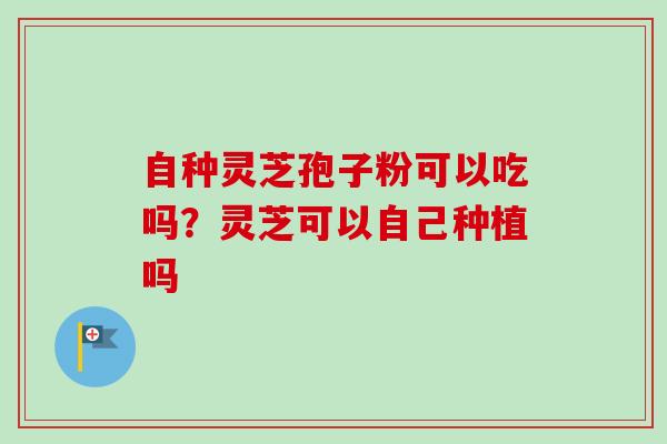 自种灵芝孢子粉可以吃吗？灵芝可以自己种植吗