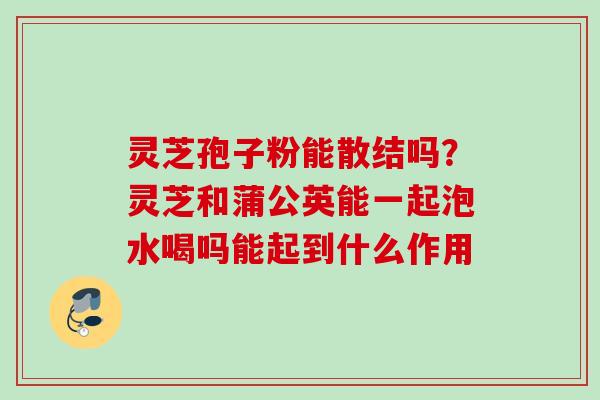 灵芝孢子粉能散结吗？灵芝和蒲公英能一起泡水喝吗能起到什么作用