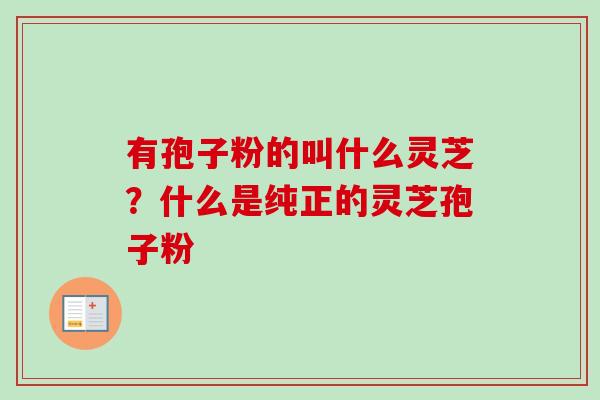 有孢子粉的叫什么灵芝？什么是纯正的灵芝孢子粉