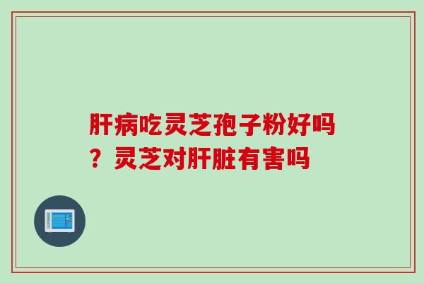 肝病吃灵芝孢子粉好吗？灵芝对肝脏有害吗