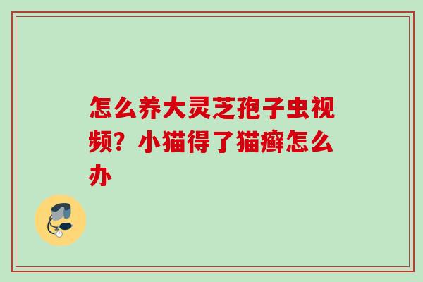 怎么养大灵芝孢子虫视频？小猫得了猫癣怎么办