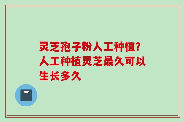 灵芝孢子粉人工种植？人工种植灵芝最久可以生长多久