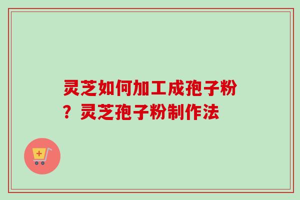 灵芝如何加工成孢子粉？灵芝孢子粉制作法