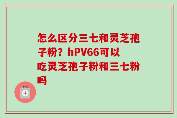 怎么区分三七和灵芝孢子粉？hPV66可以吃灵芝孢子粉和三七粉吗