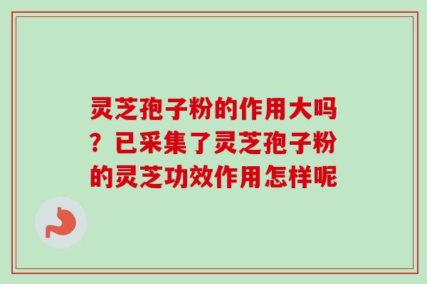 灵芝孢子粉的作用大吗？已采集了灵芝孢子粉的灵芝功效作用怎样呢