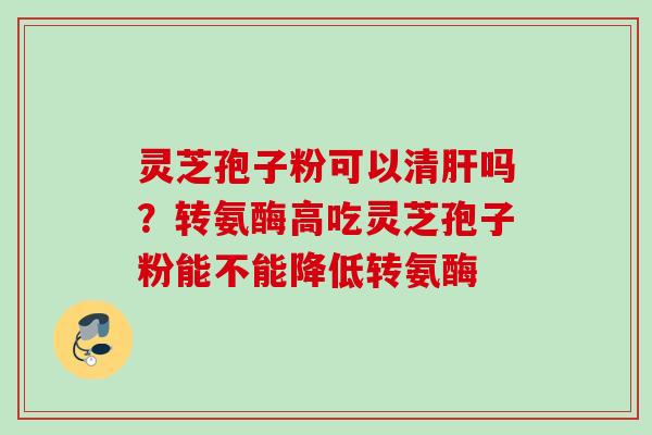灵芝孢子粉可以清肝吗？转氨酶高吃灵芝孢子粉能不能降低转氨酶