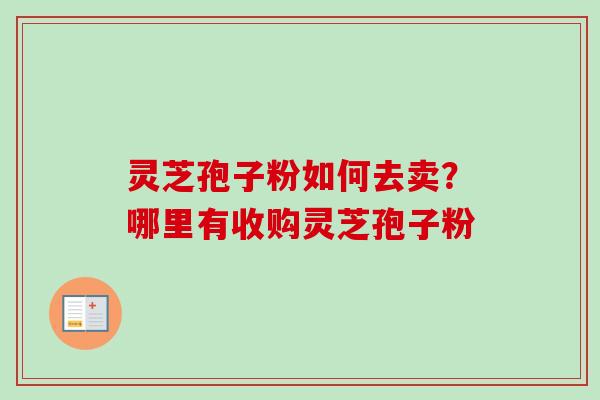 灵芝孢子粉如何去卖？哪里有收购灵芝孢子粉