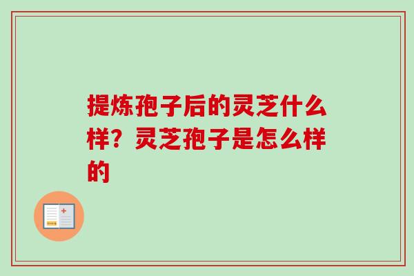 提炼孢子后的灵芝什么样？灵芝孢子是怎么样的