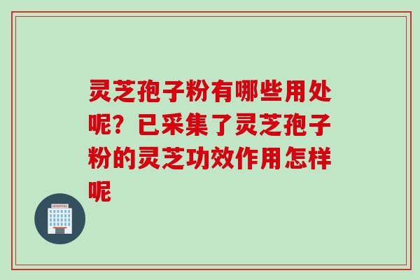 灵芝孢子粉有哪些用处呢？已采集了灵芝孢子粉的灵芝功效作用怎样呢