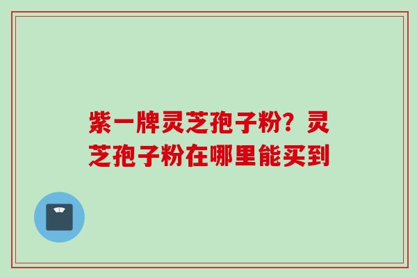紫一牌灵芝孢子粉？灵芝孢子粉在哪里能买到