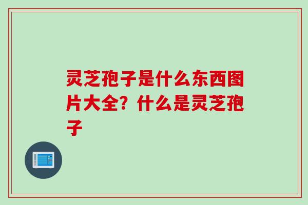 灵芝孢子是什么东西图片大全？什么是灵芝孢子