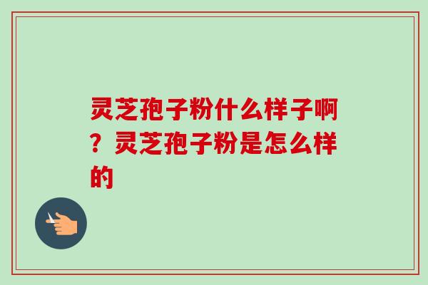 灵芝孢子粉什么样子啊？灵芝孢子粉是怎么样的