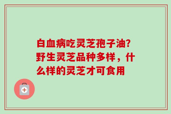 白血病吃灵芝孢子油？野生灵芝品种多样，什么样的灵芝才可食用
