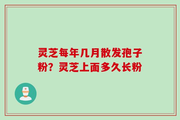 灵芝每年几月散发孢子粉？灵芝上面多久长粉