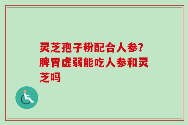 灵芝孢子粉配合人参？脾胃虚弱能吃人参和灵芝吗