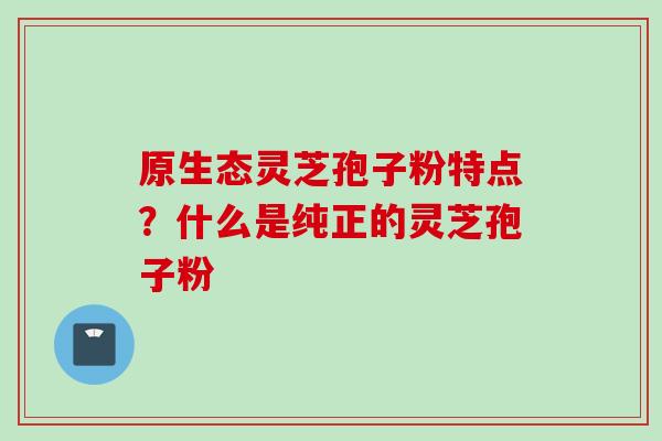 原生态灵芝孢子粉特点？什么是纯正的灵芝孢子粉