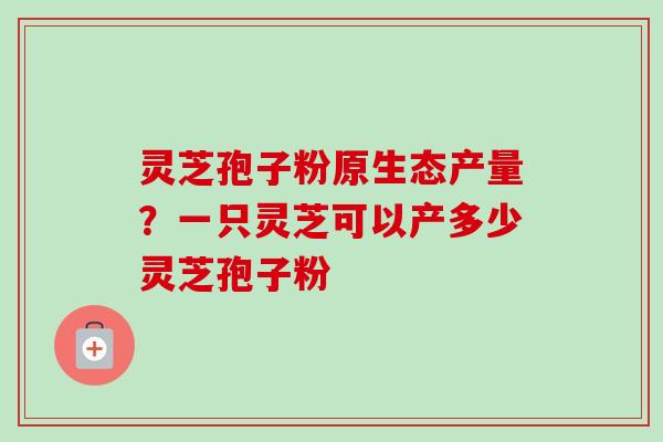 灵芝孢子粉原生态产量？一只灵芝可以产多少灵芝孢子粉