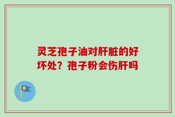 灵芝孢子油对肝脏的好坏处？孢子粉会伤肝吗