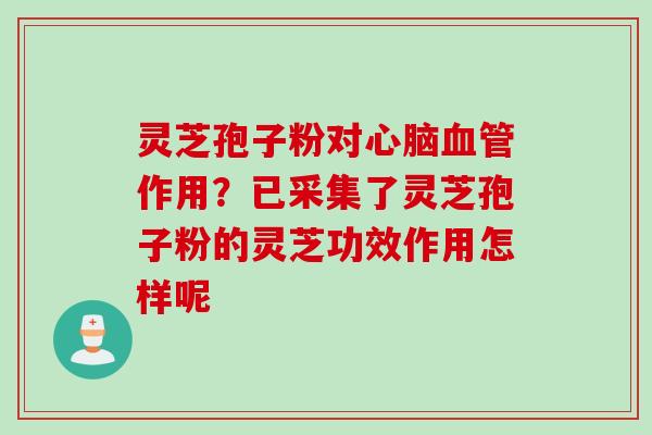 灵芝孢子粉对心脑血管作用？已采集了灵芝孢子粉的灵芝功效作用怎样呢