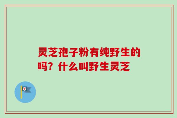灵芝孢子粉有纯野生的吗？什么叫野生灵芝