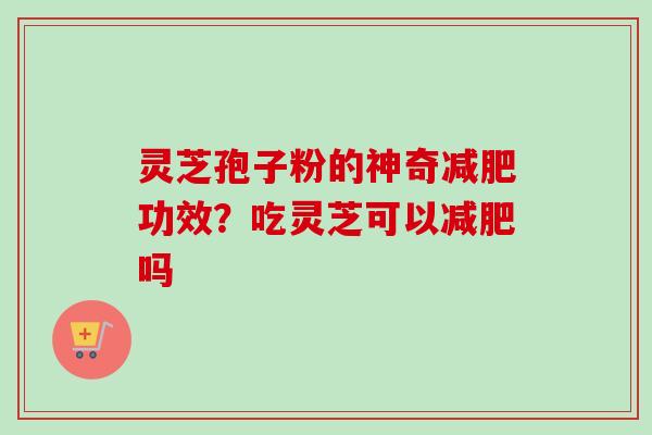 灵芝孢子粉的神奇减肥功效？吃灵芝可以减肥吗