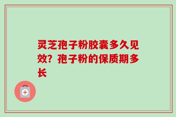 灵芝孢子粉胶囊多久见效？孢子粉的保质期多长