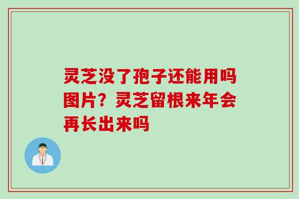 灵芝没了孢子还能用吗图片？灵芝留根来年会再长出来吗